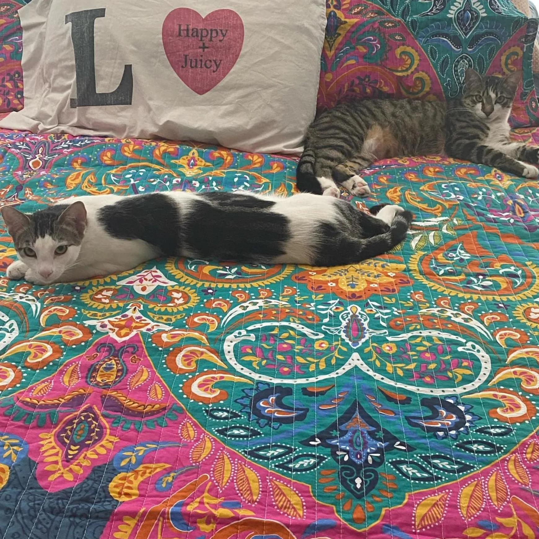 Boho Chic Quilt 3 Piece Set