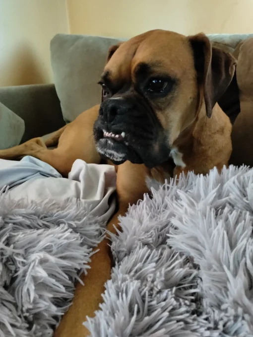 Emma Faux Fur Throw