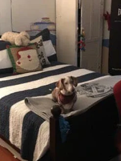 Stripe 3 Piece Quilt Set