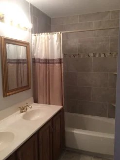 Terra Shower Curtain