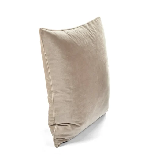 Velvet Solid Decorative Pillow Cover 2-Pack Set