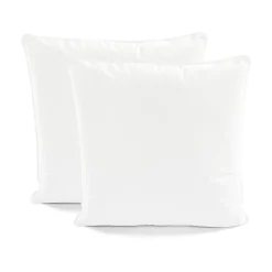 Velvet Solid Decorative Pillow Cover 2-Pack Set