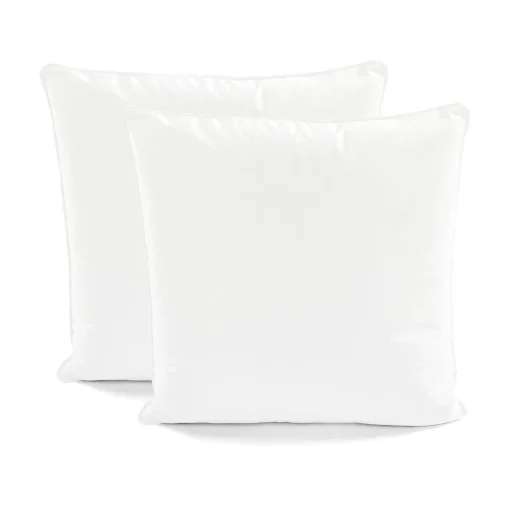 Velvet Solid Decorative Pillow Cover 2-Pack Set