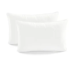 Velvet Solid Decorative Pillow Cover 2-Pack Set