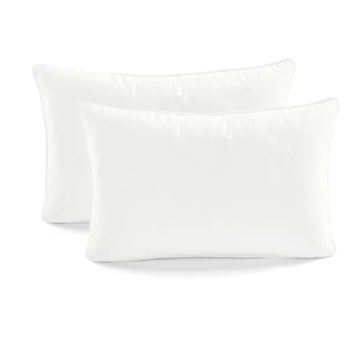 Velvet Solid Decorative Pillow Cover 2-Pack Set