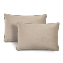 Velvet Solid Decorative Pillow Cover 2-Pack Set