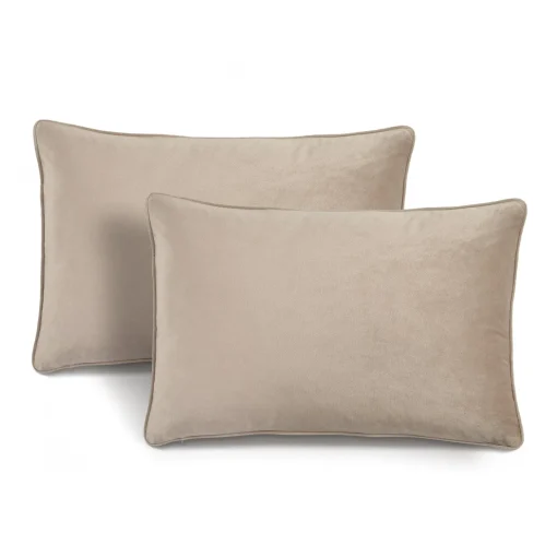 Velvet Solid Decorative Pillow Cover 2-Pack Set