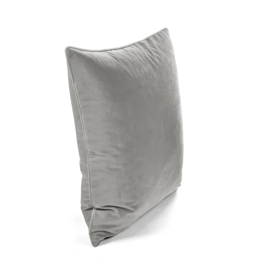 Velvet Solid Decorative Pillow Cover 2-Pack Set